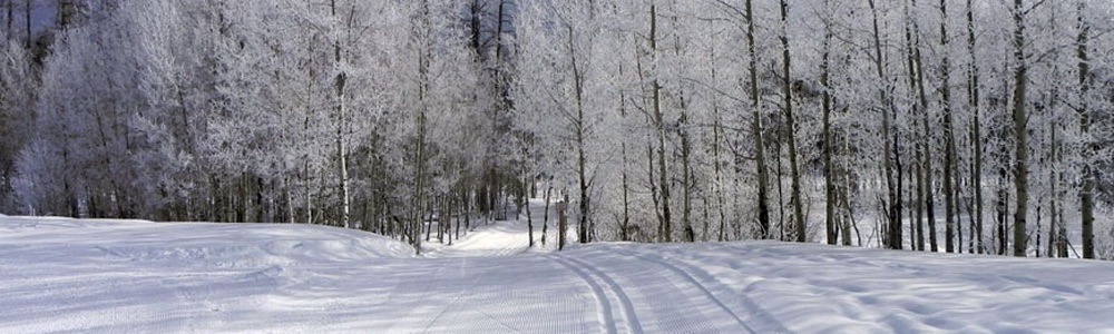 Cross-country ski trails at Grand Lake Nordic Center